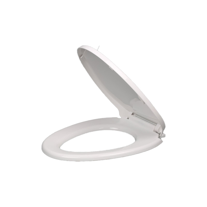 แม่พิมพ์ฝาชักโครก